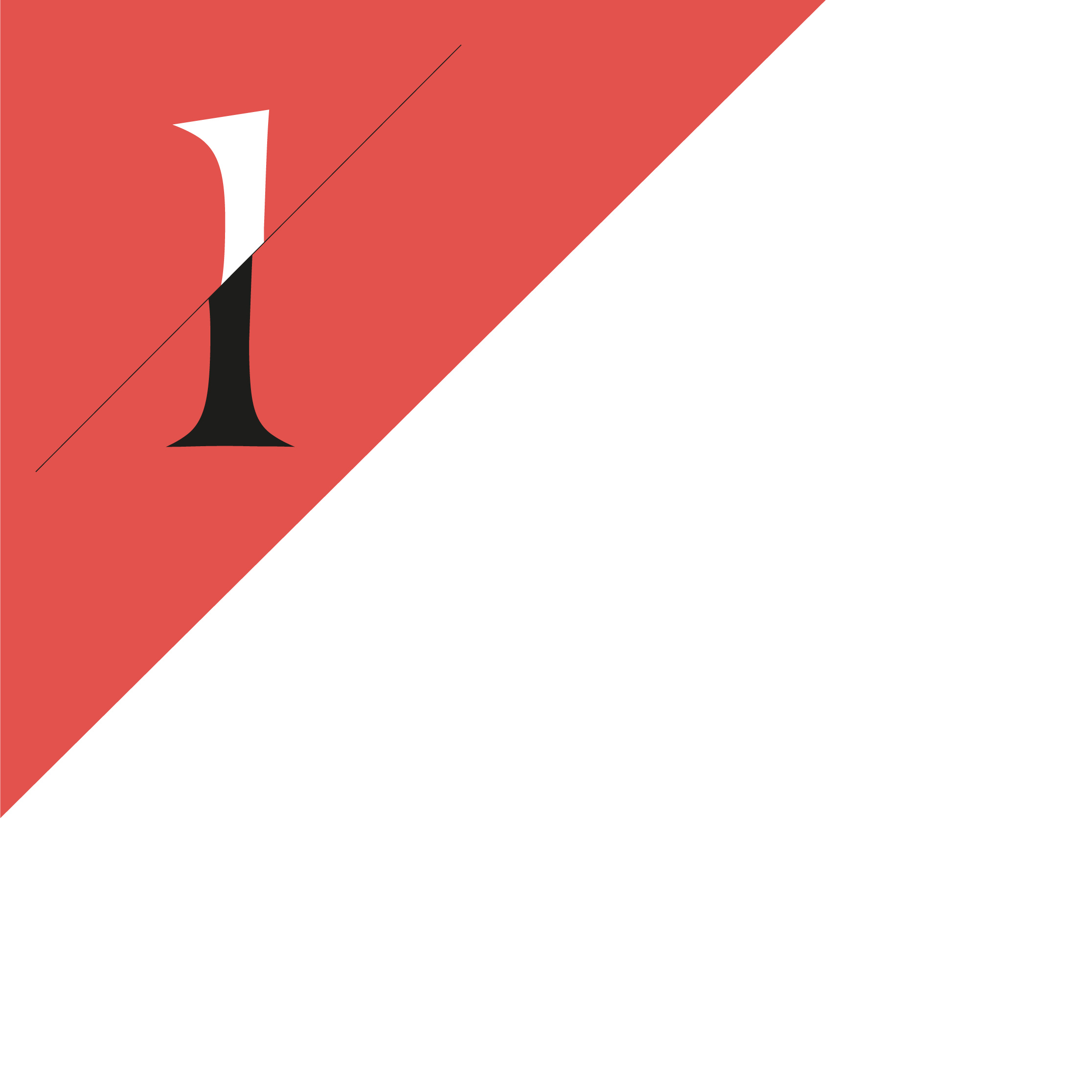 JigsEye_linkedIn_post_boek_hoofstuk_basis